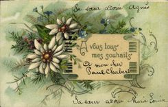 CPA Fantaisie Fleurs 