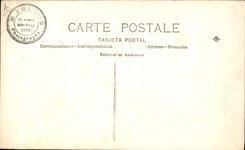 CPA Yolanda Cartis 