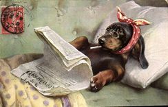 CPA Chien Chiens Basset Journal 