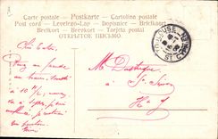 Vintage Postcard Dog Dogs Basset hound Newspaper