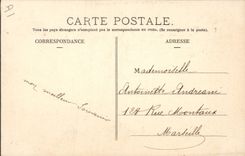 Vintage Postcard Dog Dogs the Pyrenees Young person Shepherd retaining his faithful Labrit SIGNAL