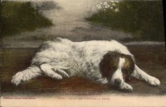 CPA Chien des Pyrenees au repos Chiens 
