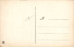 Vintage Postcard Dog Dogs of the Pyrenees Viscos