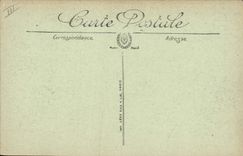 Vintage Postcard Dog Dogs of Pyrenees mountain