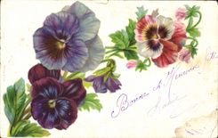 CPA Fantaisie Fleurs 