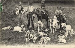 Vintage Postcard Doors a stockbreeder of Dogs of mountain Dog SIGNAL