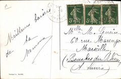 Vintage Postcard Dogs of St Bernard Chien