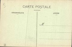 Vintage Postcard Dogs of the Pyrenees Dog Two rivals