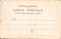 CPA Declaration interrompue Perroquet 