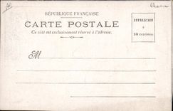 Postal expulsa al bisonte