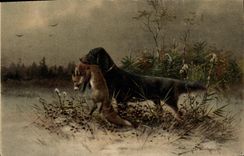 CPA Chasse Chien Renard 