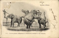 Vintage Postcard Barnum Circus & Bailey One of the group of elephants Elephant