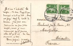 Vintage Postcard Dog Dogs Large St Bernard Before the departure!