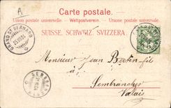 Vintage Postcard Dog Dogs Large St Bernard