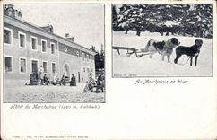 Vintage Postcard Dog Dogs Hotel of Marchairuz