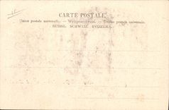 Vintage Postcard Dog Dogs Old people's home of Large St Bernard