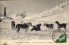 CPA Chien Chiens Grand St Bernard Les chiens decouvrant un voyageur egare 