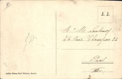 Vintage Postcard Dog Dogs Large St Bernard dogs discovering a stray traveller