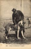Vintage Postcard Chien Dogs of St Bernard has the old people's home