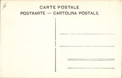 Vintage Postcard Dog Bernardinerhunde Dogs