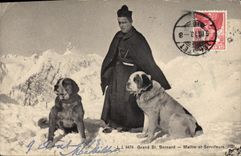 Vintage Postcard Dog Dogs Large St Bernard Maitre and servants
