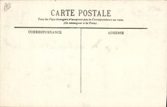 CPA Chien Chiens des Pyrenees 