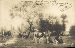 Postal Watelin Mañana de mayo en Normandía