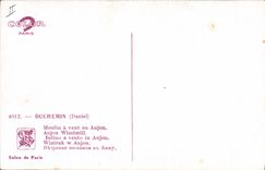 CPA Duchemin Moulin a vent en Anjou 