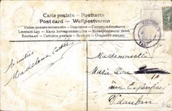 Vintage Postcard Fantasy Flowers Bird Swallow