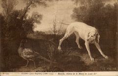 CPA Chasse Oudry Blanche chienne de la meute de Louis XV Chien 