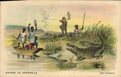 Postal Caza Caza al cocodrilo
