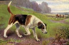CPA Chasse Foxhound 