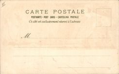 Vintage Postcard Fantasy Illustrator Woman Mountains Vegetable fat