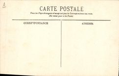 CPA Chien Chiens des Pyrenees 