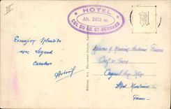 Vintage Postcard Dog of St Bernard Chiens