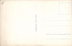 Vintage Postcard Dog Family of Dogs of Large St Bernard