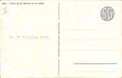 Vintage Postcard Dog of St Bernard and his brood Dogs