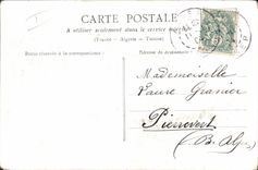 Vintage Postcard Dog Dogs Child Friendship