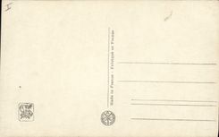 CPA Salon de Paris Darriet Chat guettant des oiseaux 