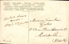 Vintage Postcard Fantaisie Bird Swallow Carries happiness