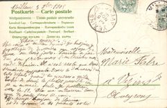 Vintage Postcard Fantasy Flowers Mushroom Mushrooms