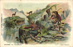 Postal Caza a la gamuza Alpes Suizos