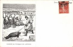 Postal Caza a la foca en Laponia Polar Impulso