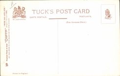 CPA Chasse Rabbiting Lapin Chasseur