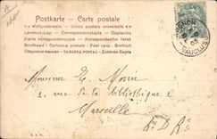 Vintage Postcard Artist Horse Donkey Mule