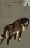 CPA Chien Chiens 
