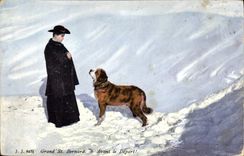 CPA Chien Chiens Grand St Bernard Avant le depart ! 