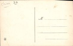 Vintage Postcard Dog of the Pyrenees Viscos Dogs