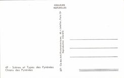 CPM Chien Chiens des Pyrenees 