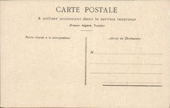 Vintage Postcard Holy Dog Dogs Bitch Bernard with his 6 puppies